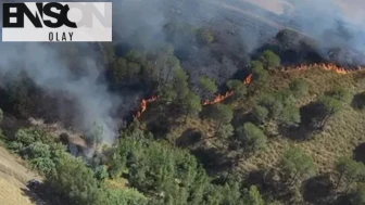 İtalya'nın Sardinya Adası'nda 20 farklı noktada orman yangını çıktı