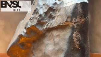 Nijer'in ıssız bir bölgesinde bulundu, 5,3 milyon dolara satıldı!