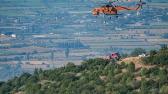 Sağlık Bakanı: Orman Yangınlarından Etkilenen 538 Kişi, 2 Vatandaş Hayatını Kaybetti