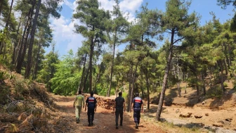 Mersin jandarmasından ormanlara sıkı koruma