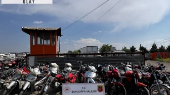 Motosiklet hırsızlığı operasyonunda 7 şüpheli yakalandı