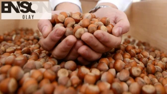 Fındık ihracatı 10 ayda 2,3 milyar dolar kazandırdı