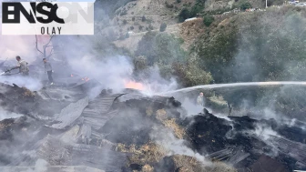 Bolu'nun Mudurnu ilçesinde çıkan yangın kontrol altına alındı