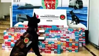 Mersin Limanı'nda kaçakçılık operasyonu