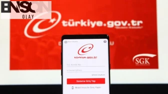 Türkiye'nin dijital haritası artık e-Devlet'te