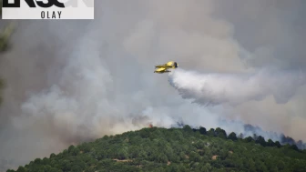 Ödemiş'ten acı haber: 1 orman işçisi hayatını kaybetti