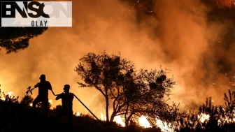 Girit Adası'nda orman yangını: 5 bin kişi tahliye edildi