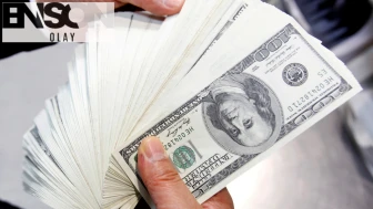 Döviz mevduatları 925 milyon dolar arttı