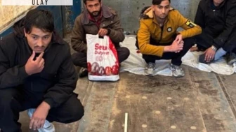 Amasya'da durdurulan TIR'dan 4 düzensiz göçmen çıktı