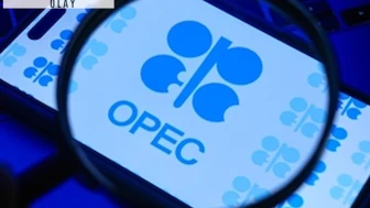 OPEC'ten dünya ekonomisi tahmini