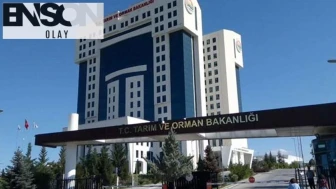 Fahri av müfettişliği için yeni şart: En az lise mezunu olmak gerekecek