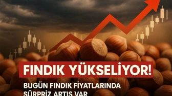 "Fındık Fiyatları Karadeniz'de Yükselişe Geçti: İşte Detaylar"