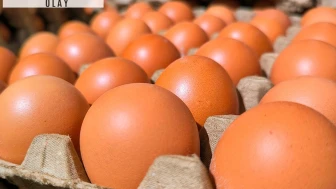 Ünlü market, yumurta satın alan herkese acil bir mesaj yolladı