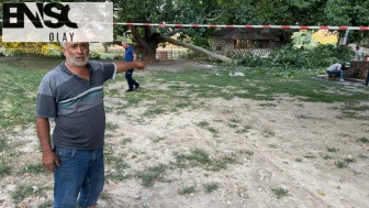 Piknikçilerin üzerine ağaç dalı düştü: 11 yaralı