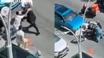 Ümraniye'de 'İkinci İrlandalı boksör' vakası: Tek başına 5kişiyidövdü