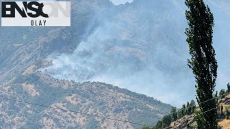 Şırnak'ta orman yangını! Ekiplerin müdahalesi devam ediyor