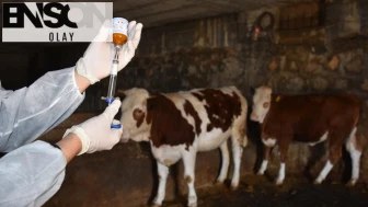 Bakan Yumaklı: 8,5 milyon doz şap aşısını sahaya gönderdik