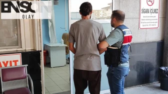 DEAŞ üyesi eve yapılan baskınla yakalandı