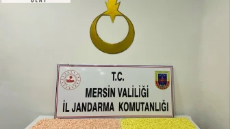Mersin’de 18 bin 400 uyuşturucu hap ele geçirildi