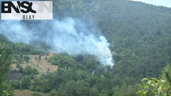 Bolu'daki yangın söndürüldü
