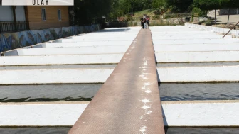 Malatya'da alabalık tesisi sayısı artıyor