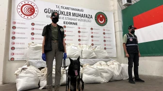 Kapıkule'de 3 TIR'da 179 kilo uyuşturucu ele geçirildi