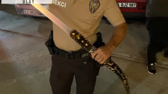 Bekçiler fark etti, kemer gibi duran kılıftan döner bıçağı çıktı
