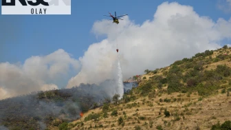 Şarköy'deki makilik yangını kontrol altında