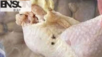 Elazığ'da 345 kilo küflenmiş tavuk ele geçirildi
