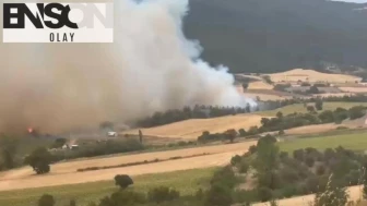 Bursa'da Orman Yangını Kontrol Altına Alınıyor: Ekipler Havadan ve Karadan Seferber Edildi