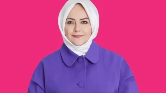 Sema Silkin Ün: Biyografi ve Siyasi Kariyeri Hakkında Bilgiler