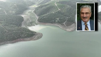 Su havzaları, 'orman' niteliğiyle koruma altına alınmalıdır