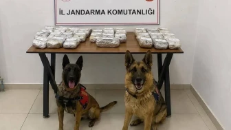 Hakkari'de gerçekleştirilen jandarma operasyonunda 21 kilo 650 gram toz esrar ele geçirildi, operasyon sonuçları şaşırttı.
