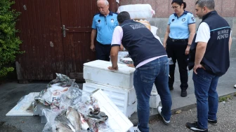 Otogar'da Kaçak Balık Satışı Yapanlara Operasyon Gerçekleştirildi