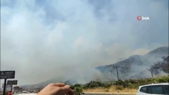 Balıkesir'de art arda orman yangınları: Altınoluk ve Havran'da alevlerle mücadele sürüyor