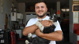 Adana'da bir esnaf, boğazına cisim kaçan köpeği kurtardı ve duygulandırdı