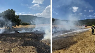 Bolu'da Balya Makinesinin Kıvılcımları Orman Yangınına Neden Oluyordu