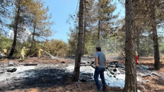 Gaziantep'te 1000 metrekarelik ormanlık alan yangında kül oldu