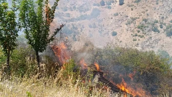 Malatya'da Çıkan Yangın, Üzüm Bağları ve Meyve Bahçelerine Zarar Verdi