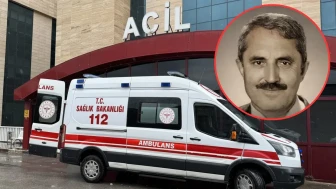 Ordu'da otomobil ağaca çarptı : Emekli imam hayatını kaybetti