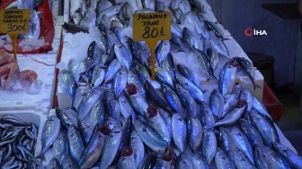 Samsun'da palamut bolluğu balık tezgahlarını neşeyle doldurdu