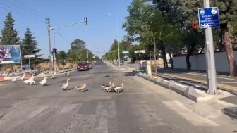 Hayrabolu ilçesinde yaşanan olayda, Tekirdağlı sakinler büyük şaşkınlık yaşadı