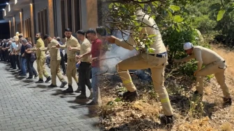 Alevlerle savaştılar, düğünde halaya durdular! Orman işçilerinin tebessüm ettiren görüntüleri