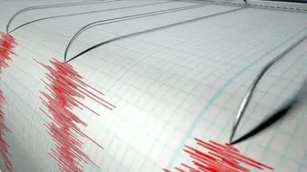 Yeni Zelanda'nın açıklarında meydana gelen 6.3 büyüklüğündeki deprem paniğe neden oldu