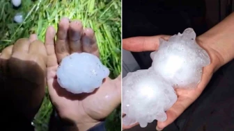 Adana'da yumruk büyüklüğünde dolu yağdı: Tarım arazileri zarar gördü