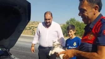 Adıyaman Besni'de kedi otomobilde sıkıştı