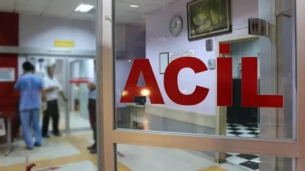 Bitlis'te arı kovanı yüklü kamyonet refüje çarpıp devrildi : 3 yaralı