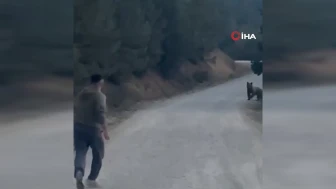 Bolu'da ayı ile karşılaştılar: Taşla kovalayıp ormana kaçırdılar