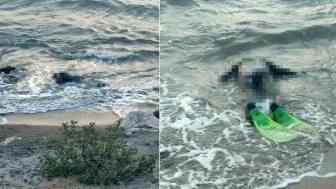 Balık tutmak için denize girmişti: Kıyıda cansız bedeniyle karşılaştılar!