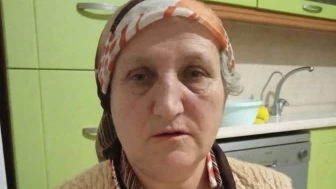 Fındık hasadından dönüyordu: Ayağı kayıp bahçeye yuvarlandı! Hayatını kaybetti